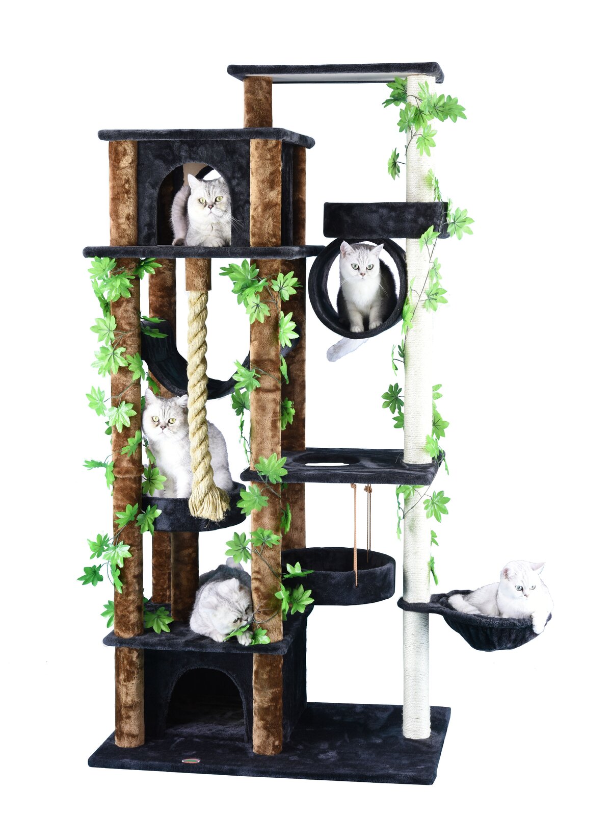 【Pet】70